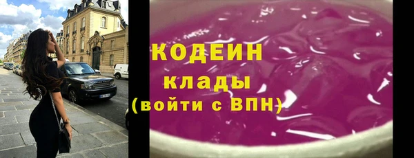 хмурый Абаза