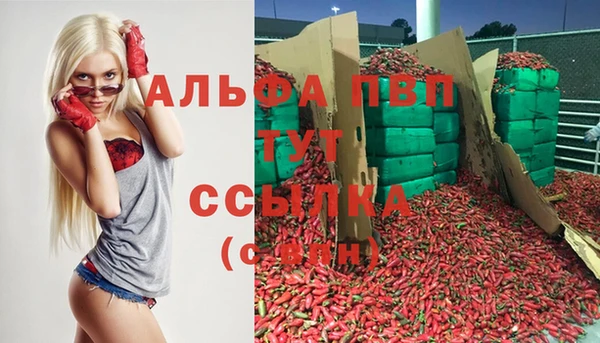 ешки Кодинск