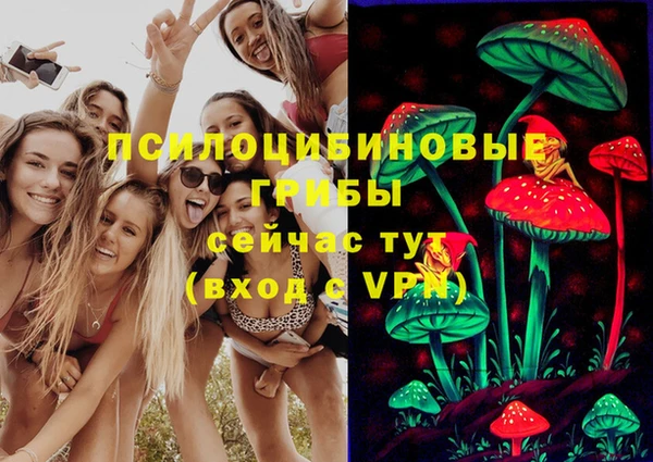 мяу мяу мука Абинск