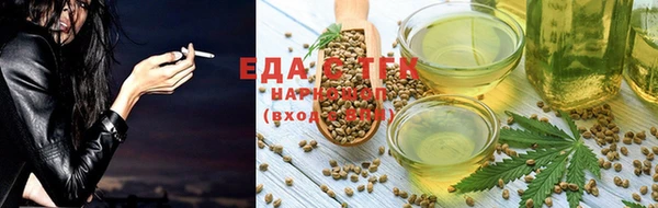 хмурый Абаза