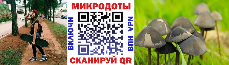Галлюциногенные грибы GOLDEN TEACHER Краснодар